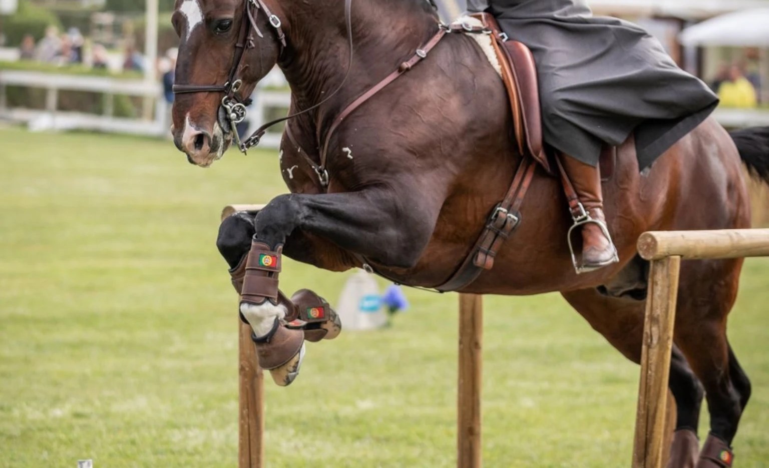 Cupa LEEVA Working Equitation